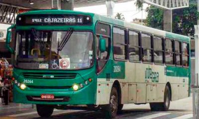 onibus