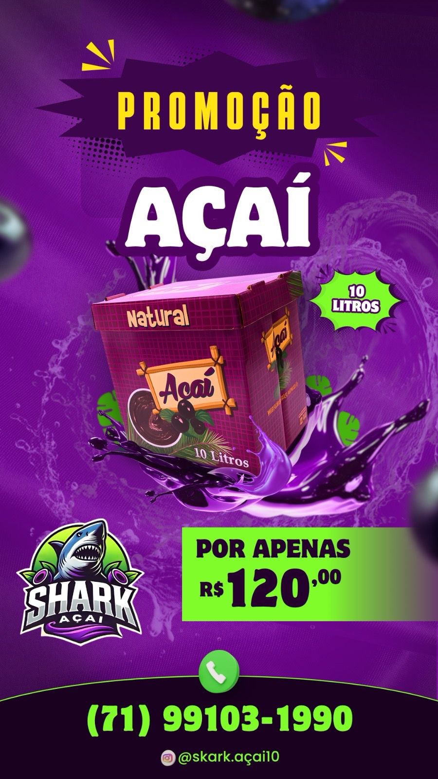 Açaí Natural Caixa de 10 Litros – Super Oferta